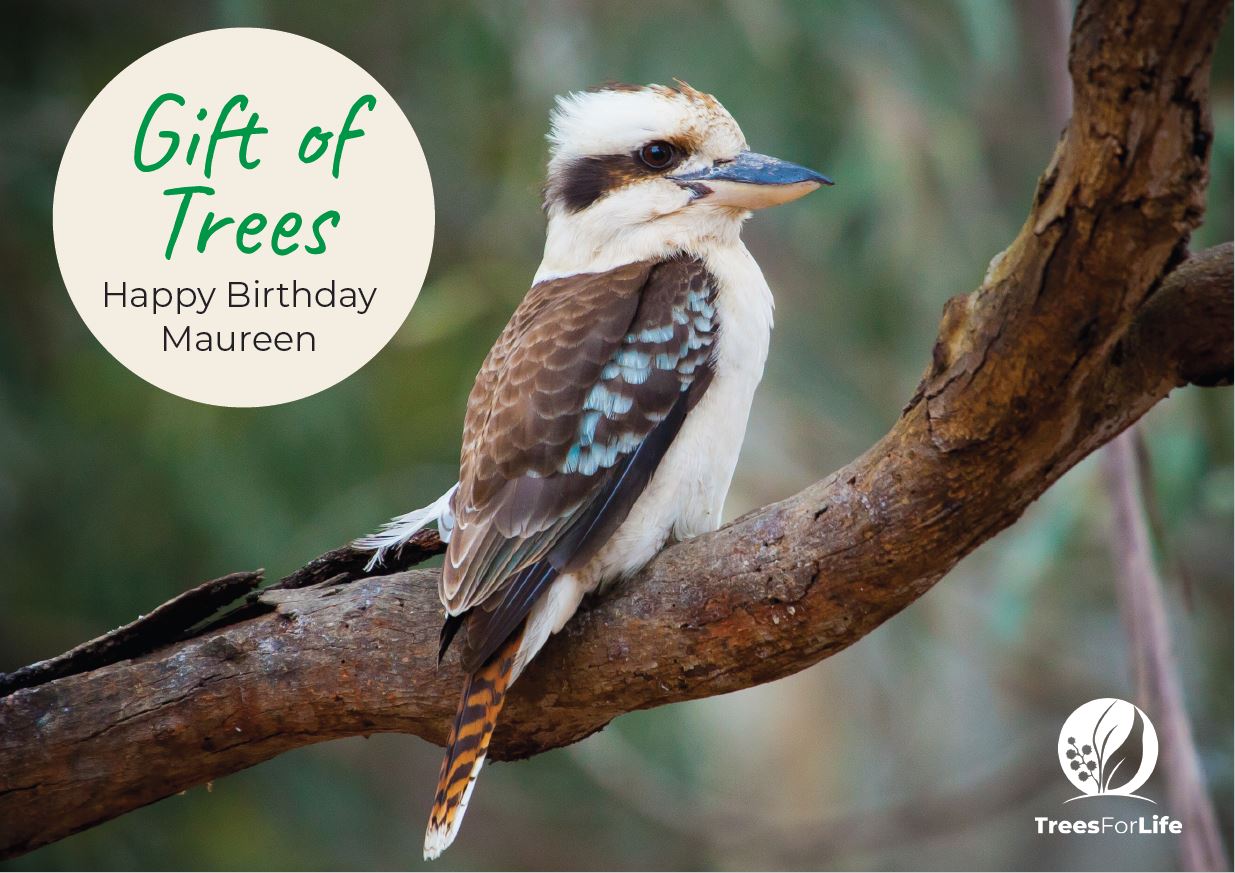 Gift of Trees