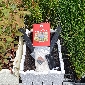 Start From Seed Kit $65.00